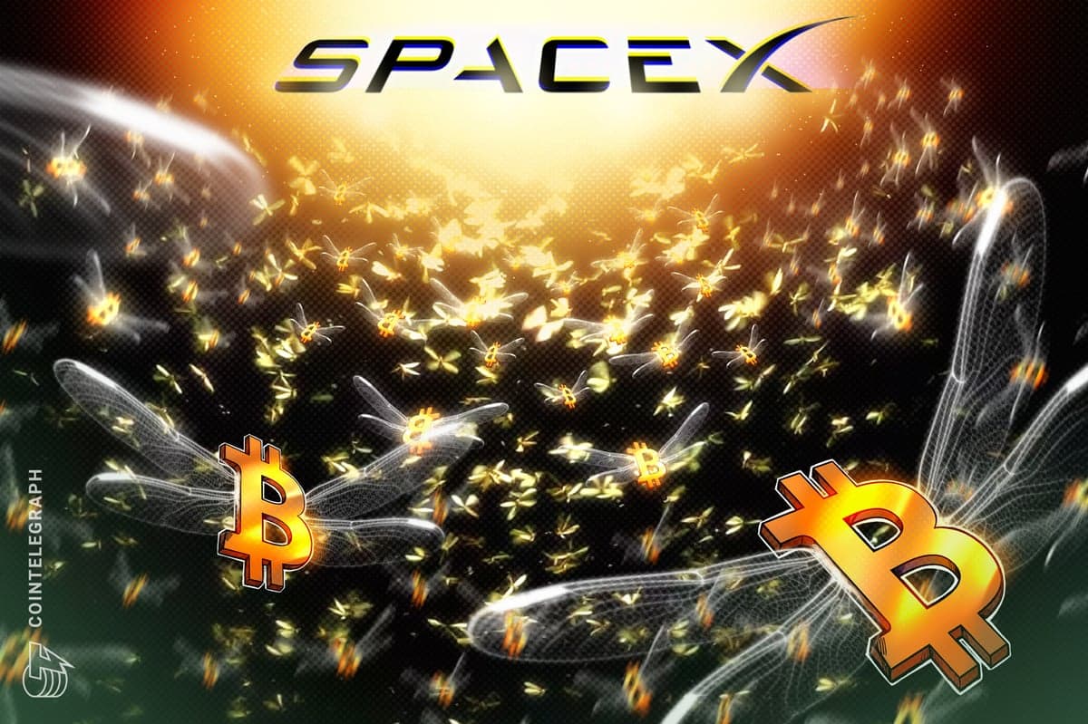 SpaceX reveló tenencias de Bitcoin mayores de lo esperado en la presentación de su IPO